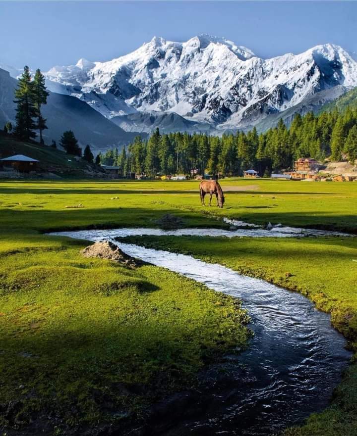 Fairy Meadows